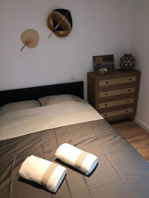 Appartement Cosy-Grand Stade Villeneuve D'Ascq Lezennes Exteriör bild