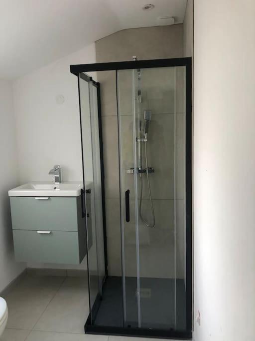 Appartement Cosy-Grand Stade Villeneuve D'Ascq Lezennes Exteriör bild