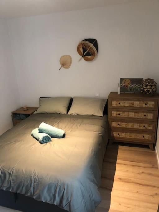 Appartement Cosy-Grand Stade Villeneuve D'Ascq Lezennes Exteriör bild